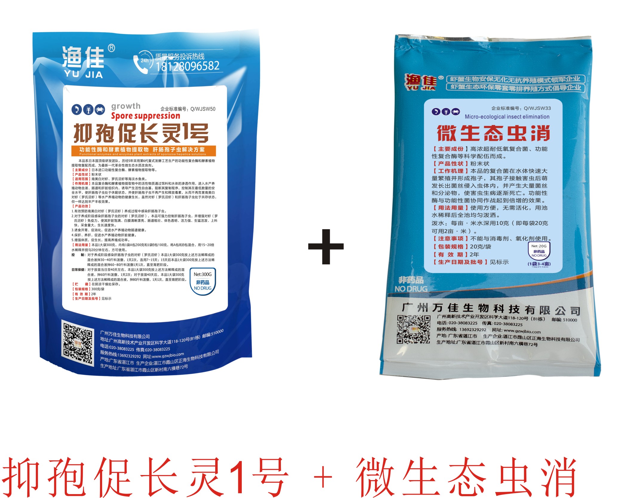 對(duì)蝦肝腸孢子蟲 不用愁！